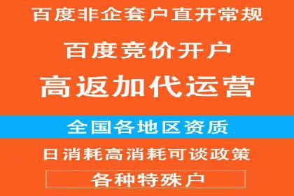 SEM托管公司案例研究：优化策略解析